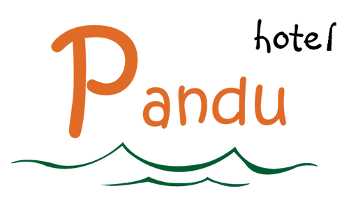 Hotel Pandu